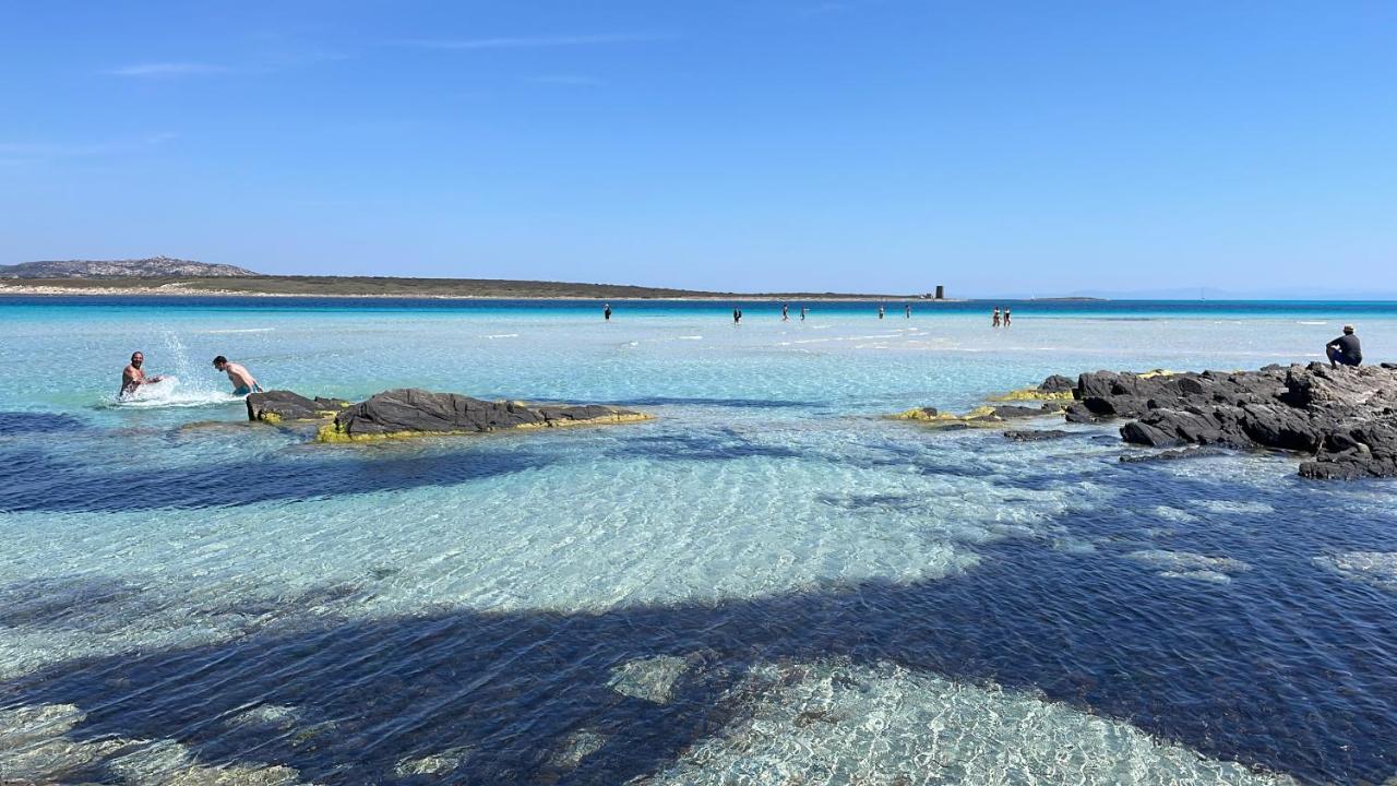 I Pescatori Di Stelle-L12 Altair Villa Stintino Bagian luar foto