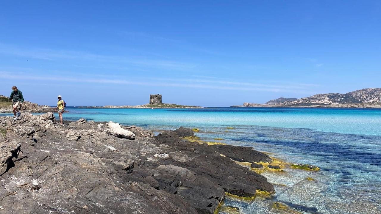 I Pescatori Di Stelle-L12 Altair Villa Stintino Bagian luar foto