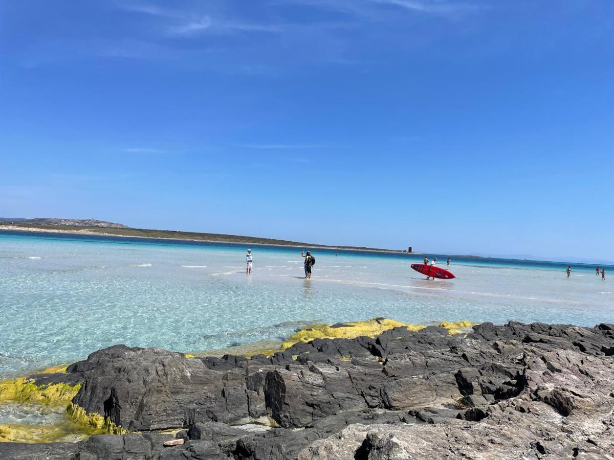 I Pescatori Di Stelle-L12 Altair Villa Stintino Bagian luar foto