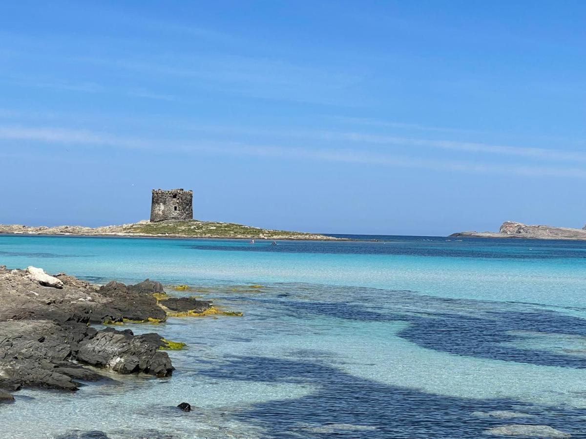 I Pescatori Di Stelle-L12 Altair Villa Stintino Bagian luar foto